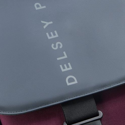 DELSEY PARIS SECUFLAP BACKPACK