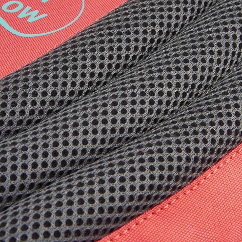 خرید کوله پشتی مدرسه ای دلسی ارگونومیک 14 اینچ دلسی پاریس رنگ نارنجی دلسی ایران - DELSEY PARIS BACKPACK 00339162519 delseyiran 3