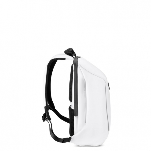 DELSEY PARIS SECURAIN BACKPACK