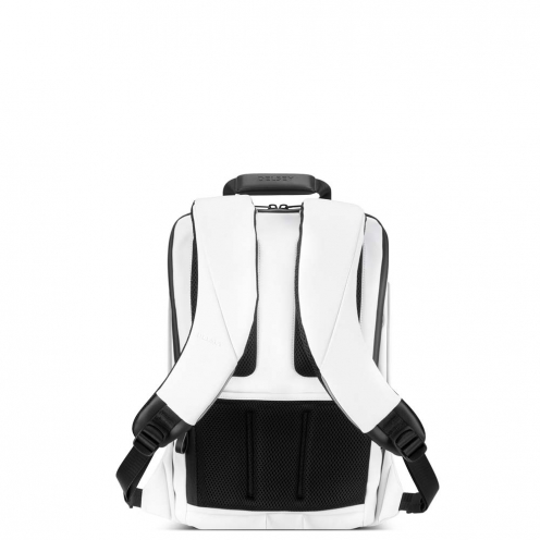 DELSEY PARIS SECURAIN BACKPACK