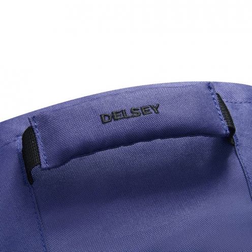 DELSEY PARIS SECURBAN BACKPACK