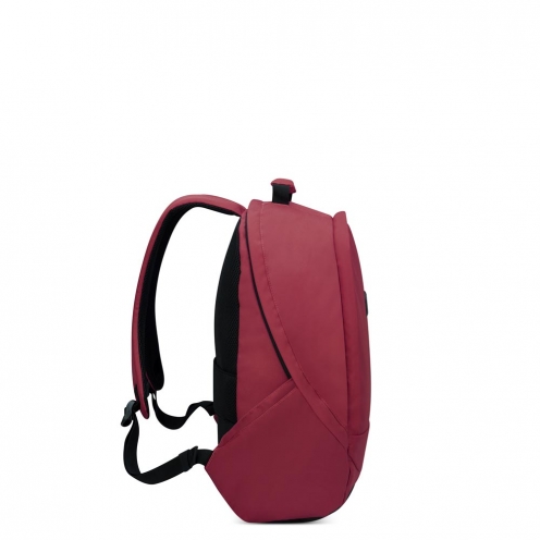 DELSEY PARIS SECURBAN BACKPACK