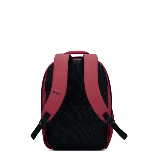 DELSEY PARIS SECURBAN BACKPACK