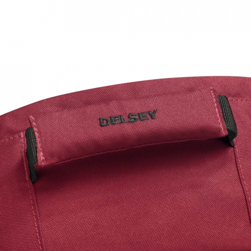 DELSEY PARIS SECURBAN BACKPACK