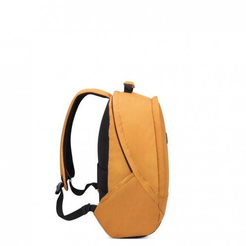 DELSEY PARIS SECURBAN BACKPACK