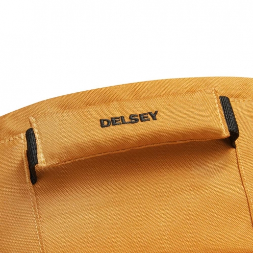 DELSEY PARIS SECURBAN BACKPACK