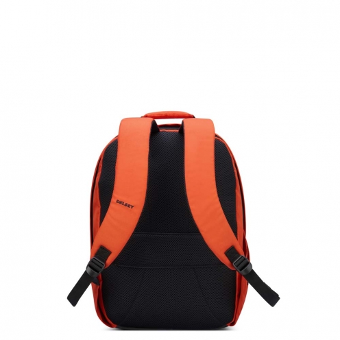 DELSEY PARIS SECURBAN BACKPACK