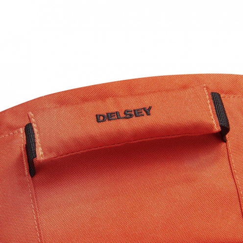 DELSEY PARIS SECURBAN BACKPACK