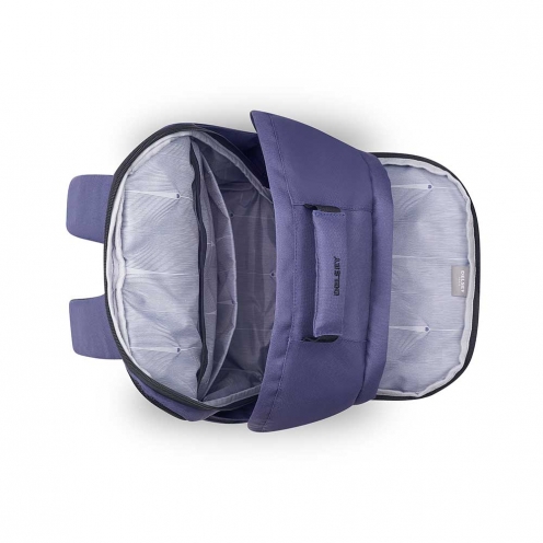 DELSEY PARIS SECURBAN BACKPACK