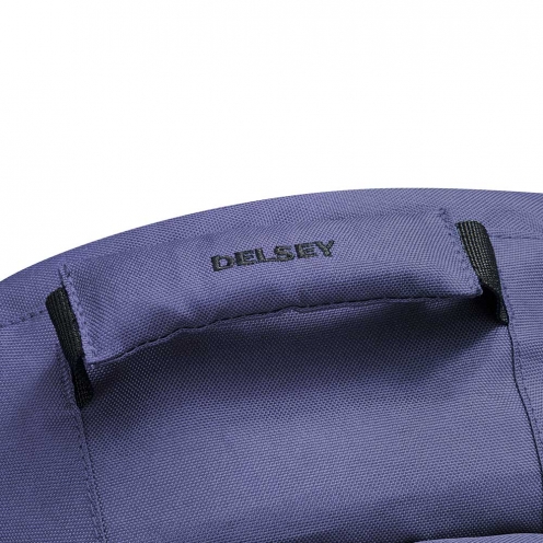 DELSEY PARIS SECURBAN BACKPACK
