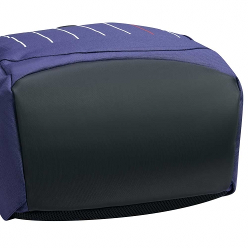 DELSEY PARIS SECURBAN BACKPACK
