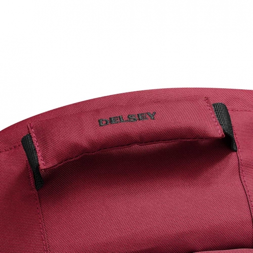 DELSEY PARIS SECURBAN BACKPACK