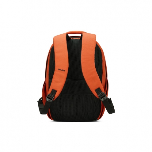 DELSEY PARIS SECURBAN BACKPACK