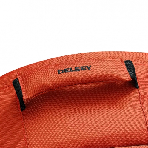 DELSEY PARIS SECURBAN BACKPACK