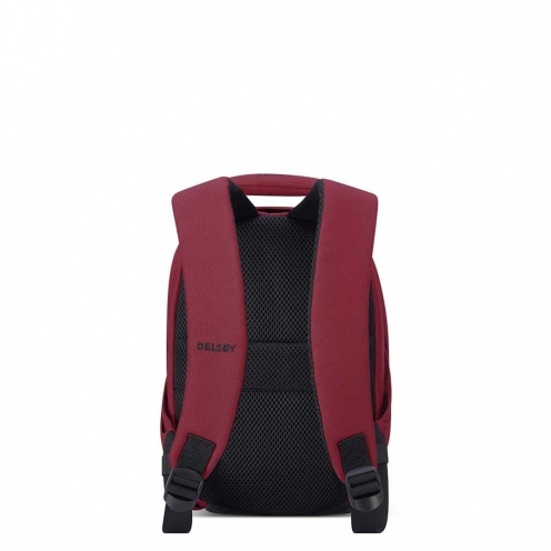 DELSEY PARIS SECURBAN BACKPACK