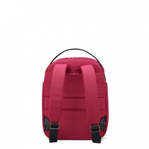 DELSEY PARIS SECURSTYLE BACKPACK