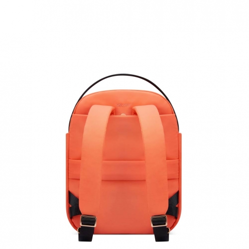 DELSEY PARIS SECURSTYLE BACKPACK